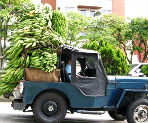 The Harvest Festival of Pereira. Source: Flickr.com By: Naty Rive